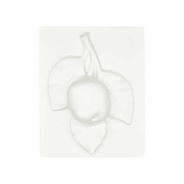 Гипсовая модель Картина ветка с яблоком